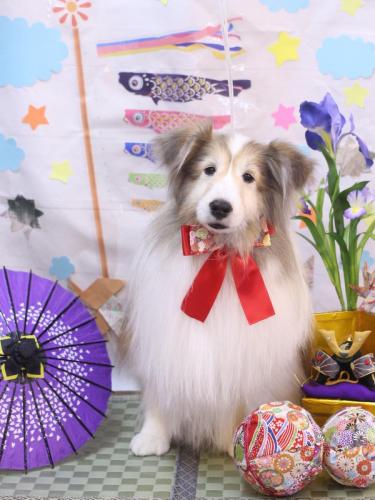 20240504カレンちゃん